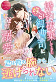 婚約破棄してきた強引御曹司になぜか溺愛されてます