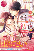 新妻初夜