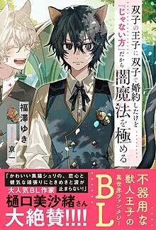 双子の王子に双子で婚約したけど「じゃない方」だから闇魔法を極める