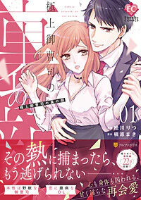 極上御曹司の裏の顔１