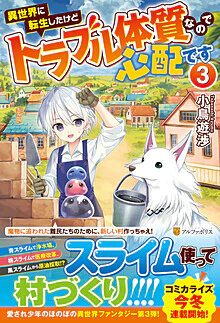 異世界に転生したけどトラブル体質なので心配です３