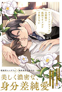 エリートアルファの旦那様は孤独なオメガを手放さない