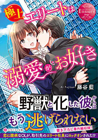 極上エリートは溺愛がお好き