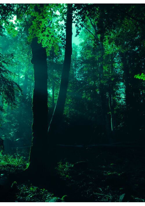 跳ねるきみの、やさしい手のひら