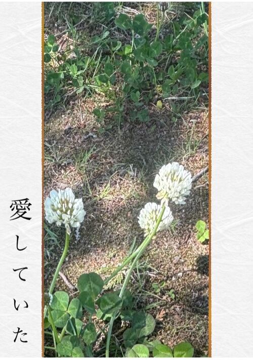 『愛していた』（くるっ🐤ぽ） 表紙
