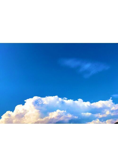 鬱病小説一覧 無料の小説投稿サイトのアルファポリス