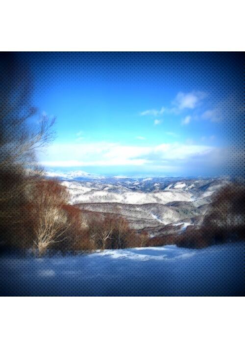 どうしようもない、疼き。