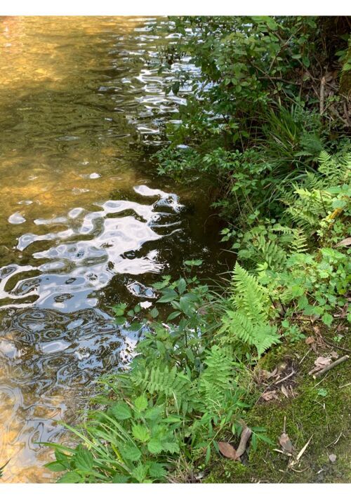 残心〈運命を勘違いした俺の後悔と懺悔〉