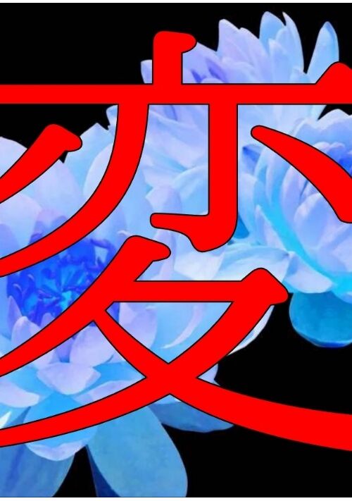変な女