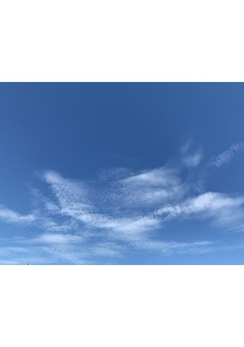 アイツはいつの間にか俺たちの中にいた。誰一人として気づいていない。俺以外は…。え？嘘だろ？変なのはオレっ？〜未来への追憶〜