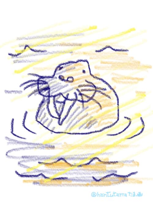 絵本短編集①『セイウチぐるぐる』 表紙