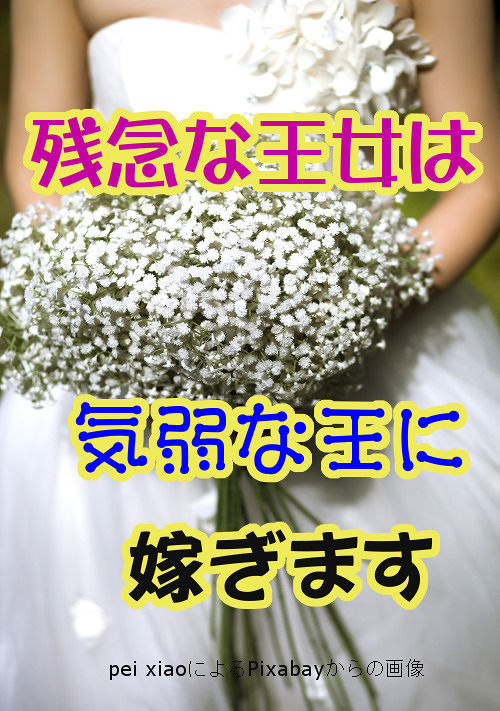 残念な王女は気弱な王に嫁ぎます 恋愛小説 小説投稿サイトのアルファポリス