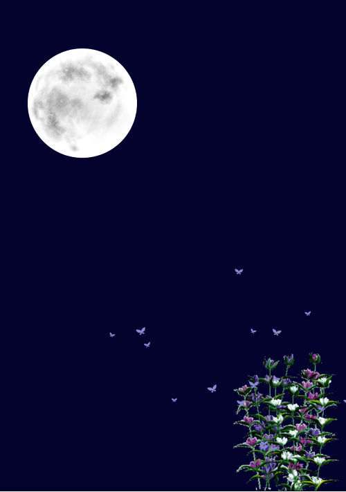 ほしのないソラに