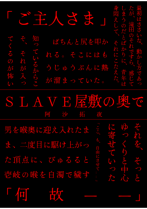 SLAVE 屋敷の奥で〜百回いくまで逃げられない〜🔞