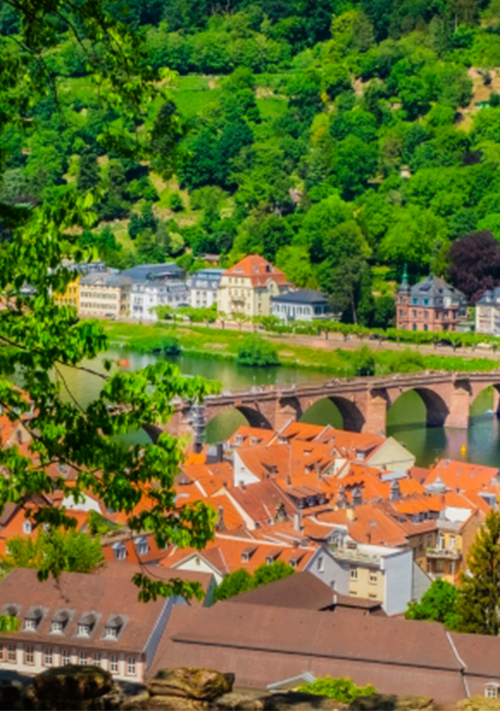 執事見習いを疑う副隊長は、職務と恋に惑う