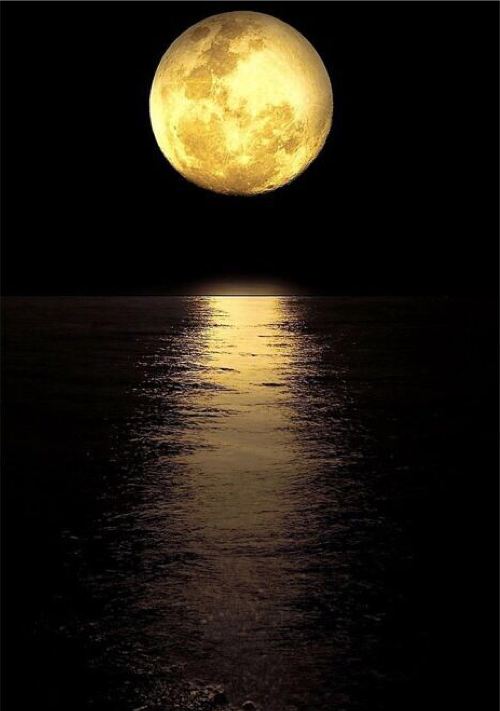 夜の海から漂って ホラー小説 小説投稿サイトのアルファポリス