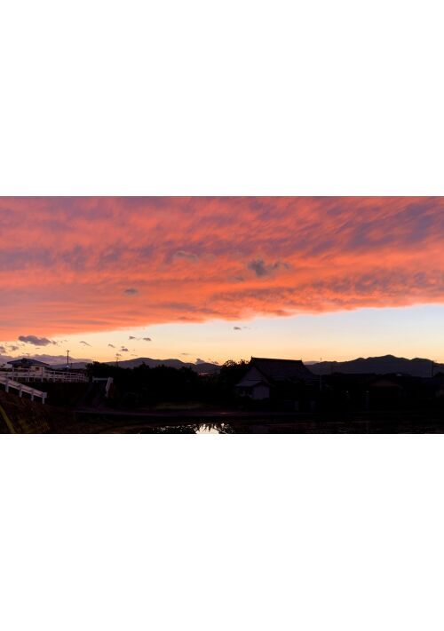 もと勇者だったけど酒場の店主やってます