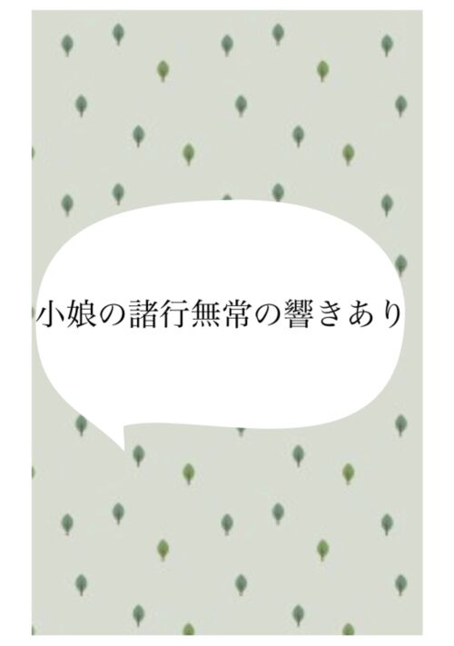 『小娘の諸行無常の響きあり』（ナッツ高美） 表紙