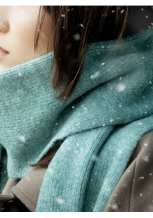 【虐げヒロインはドＳエリートに翻弄される】〜囚える鎖を放すか否か（仮）