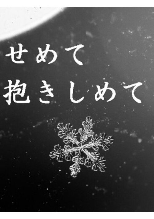 せめて　抱きしめて