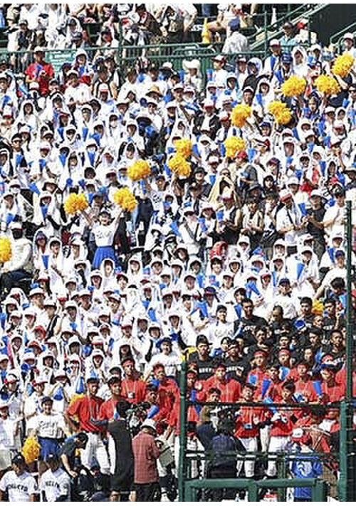 高校野球をみなくなった
