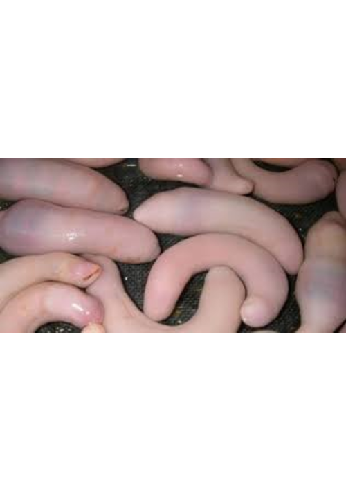 BL官能ショートショート集