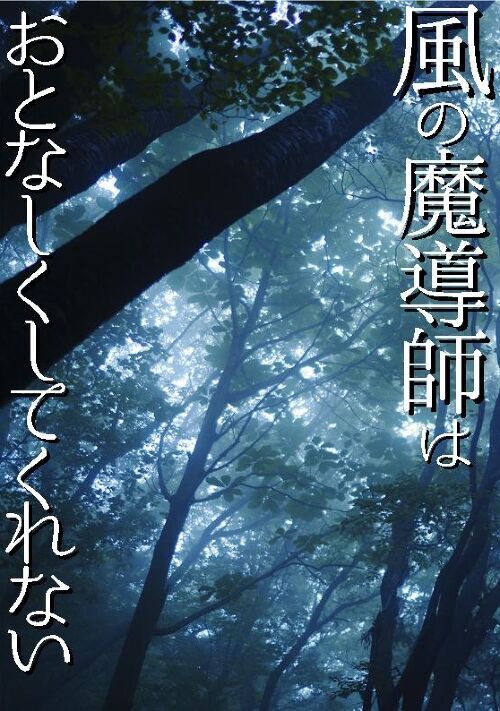風の魔導師はおとなしくしてくれない