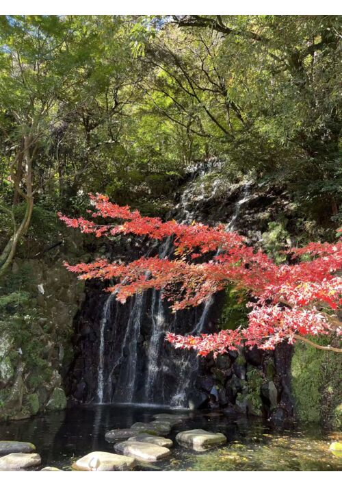 令和元年、箱根