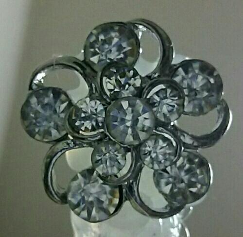 起きたら伝説の正妃様になっていた件