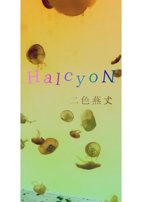 HalcyoN