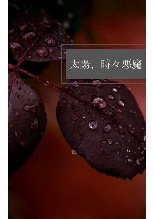 太陽、時々悪魔