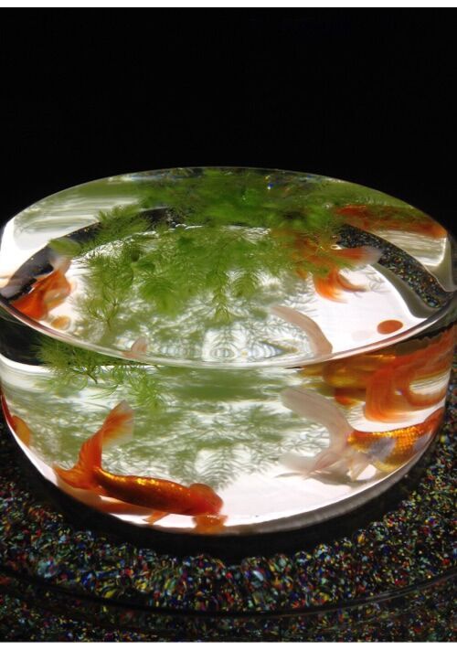 あめいろはなび