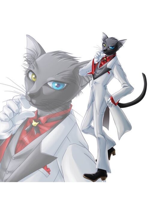 我が家の台所で浮気現場に遭遇しました