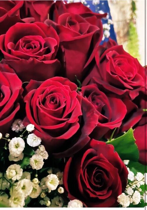 NTR願望強めの残念なお方と婚約破棄しましたら、今度は美形の皇太子から溺愛され妃にと求婚されました