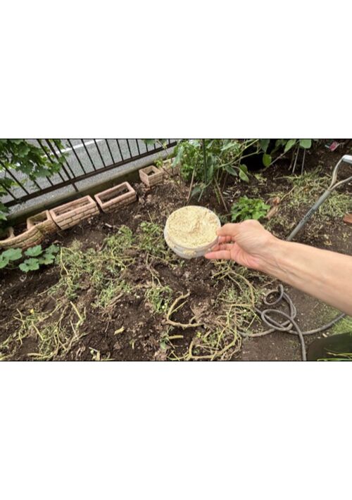 『トマトの茎や葉が庭の土に戻るまで②』（まいゆき） 表紙