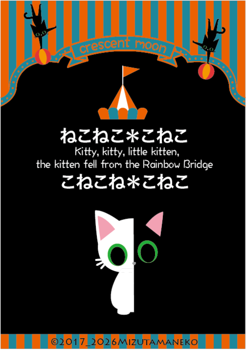 ねこねこ＊こねこ　こねこね＊こねこ
