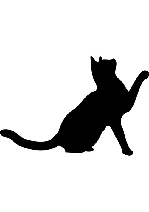  薬草臭い追放教師に拾われた猫、陰鬱な主人の毛づくろいを今日もがんばる