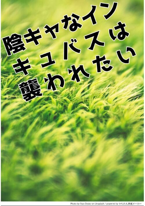 【完結】陰キャなインキュバスは襲われたい