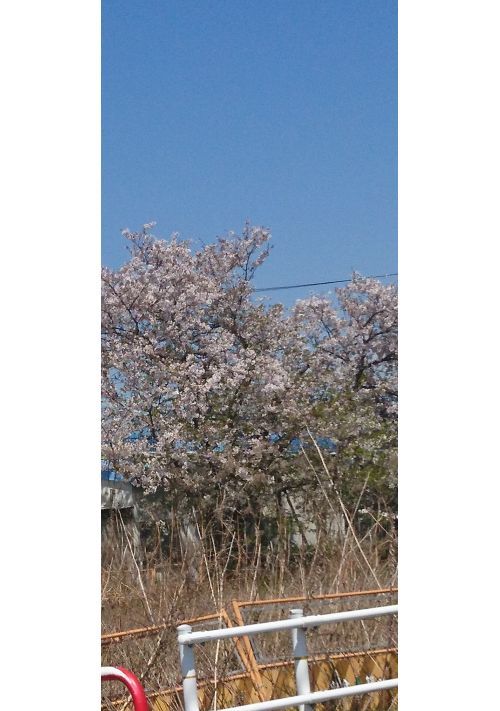溺愛