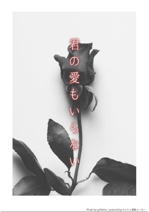 君の愛もいらない