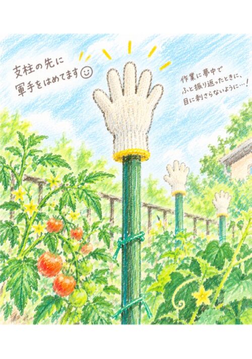 『トマトの茎や葉が庭の土に戻るまで③』（まいゆき） 表紙