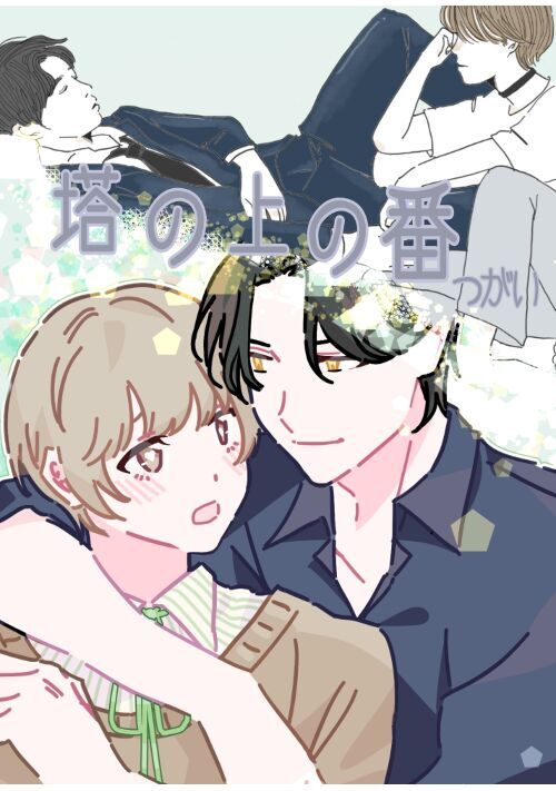 塔の上の番つがい～(Domα×SubΩ)天性の苛められっ子がエリート外科医に拾われて。タワーマンションの最上階で溺愛され支配されていく～