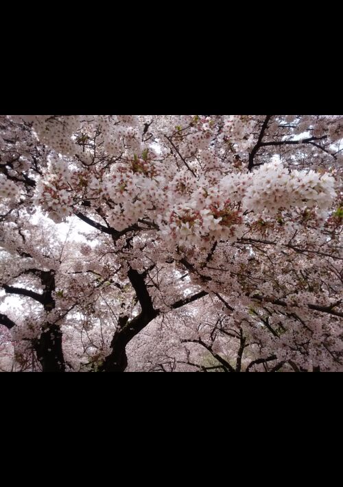  別れから始まる物語（あの世の幽霊サポートあり）