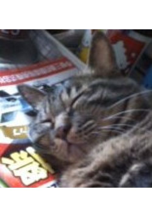 忘れ物を届けにきました