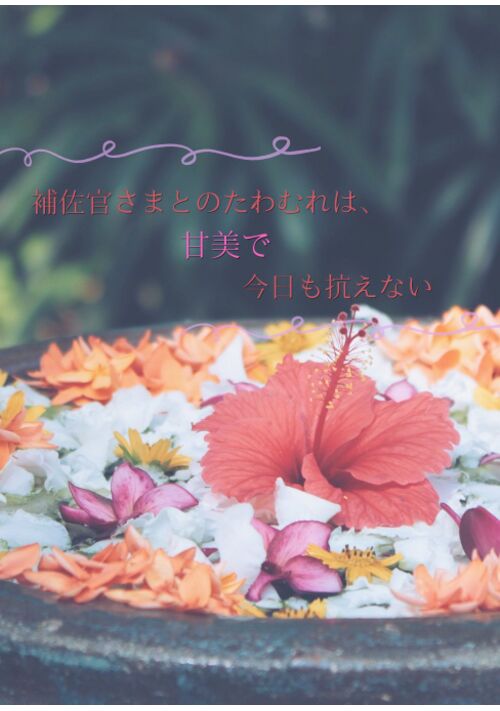 【R18】補佐官さまとのたわむれは、甘美で今日も抗えない