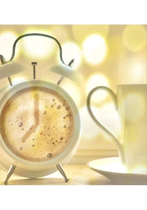 杉本君について