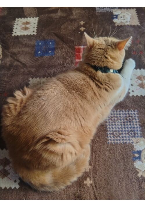 モブのAくん×モブのB。