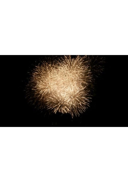 人間とはなんだ 治療において 神の領域 は存在しない 遺伝子改造治療 究極の選択を迫られたとき人間であり続けますか 進化を選びますか 大衆娯楽小説 小説投稿サイトのアルファポリス