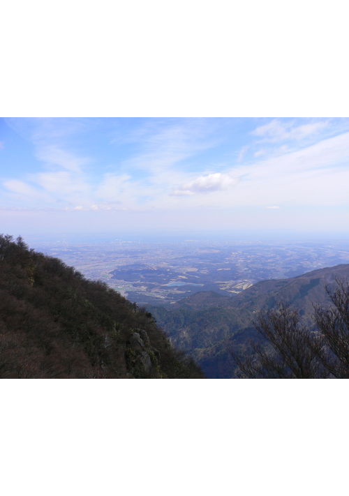 やくざの息子（兄）と養子に出された双子の弟の話　