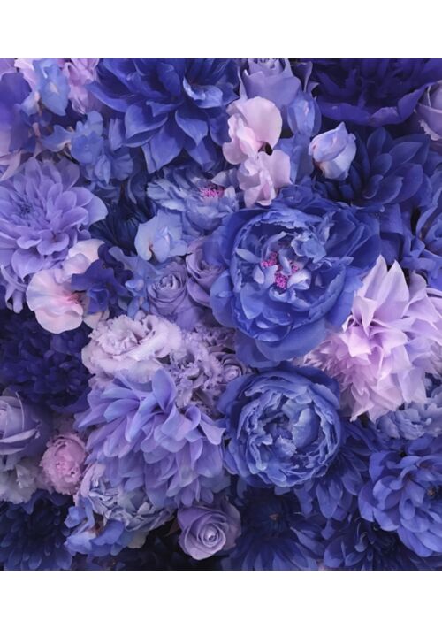 公爵家子息は、獣人王弟の番いとなりて愛を知る